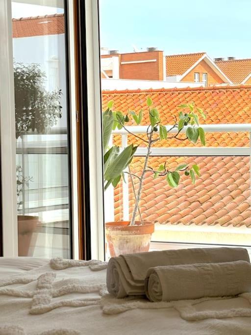 Nazare Boutique W Sea View And Private Rooftop Terace 외부 사진