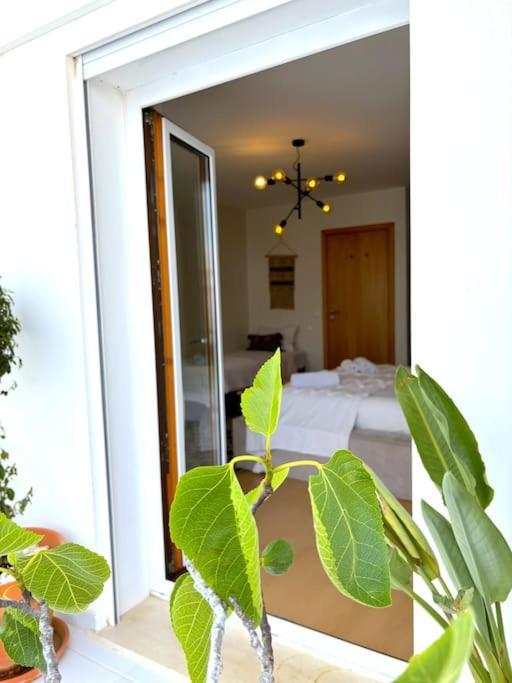 Nazare Boutique W Sea View And Private Rooftop Terace 외부 사진